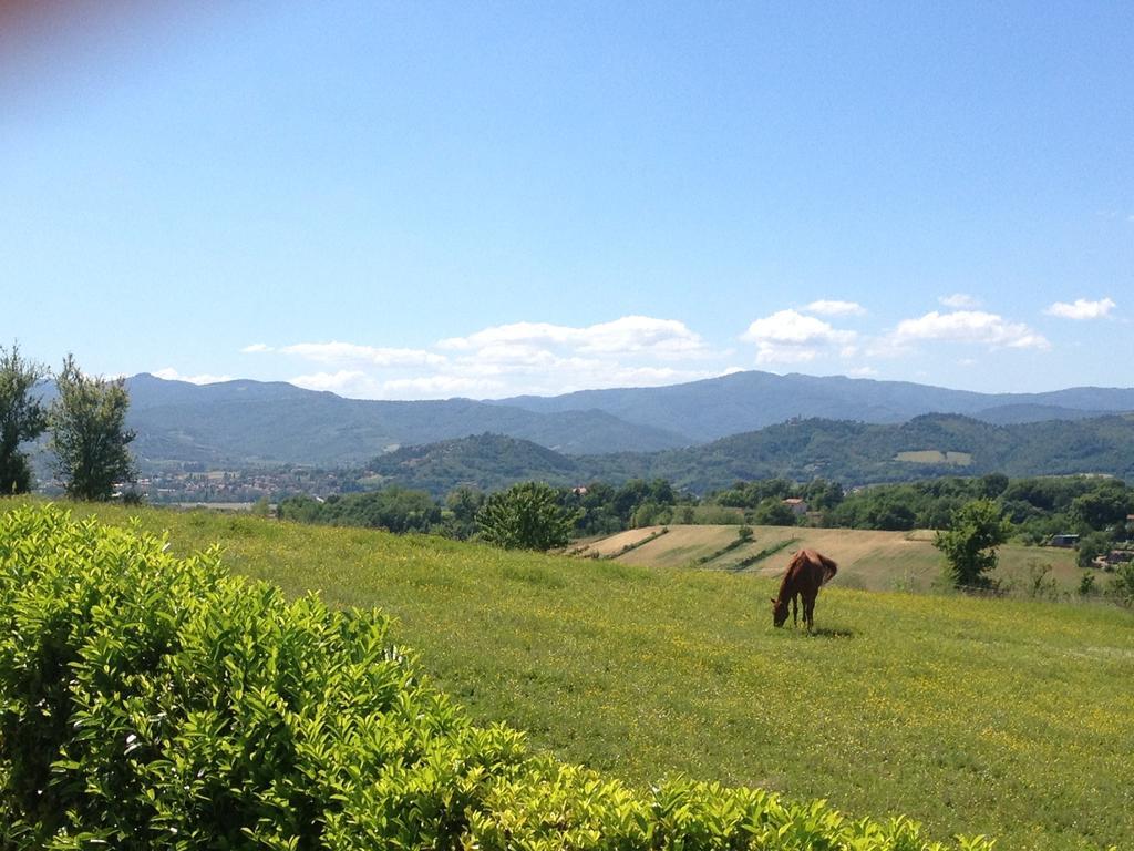"Villa Bizzi" Monte Castelli Exterior photo